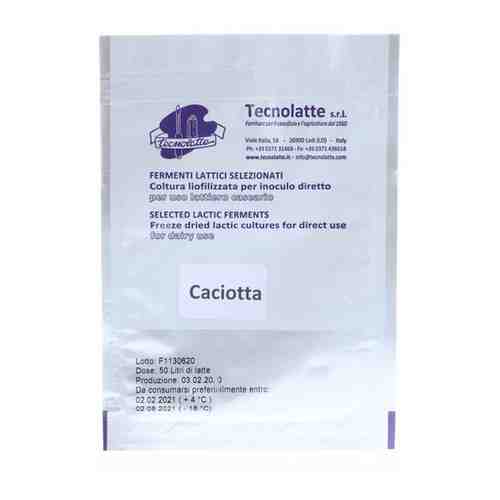 Закваска для сыра Качотта (Caciotta) на 50 литров (Tecnolatte) арт. 101366381140