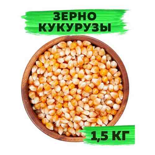 Зерно кукурузы для приготовления попкорна 1,5кг / 1500г, VegaGreen арт. 101692775611