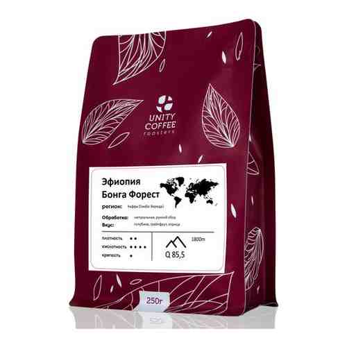 Зерновой кофе Эфиопия Бонга Форест (250 грамм) арт. 100742570801