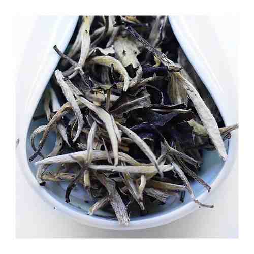 Аромат чая, Юэ Гуан Бай, Китайский белый чай, листовой чай, 500гр арт. 101722884122