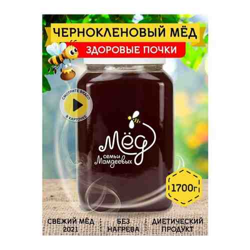 Башкирский чернокленовый мед, 1700 г арт. 101419909017