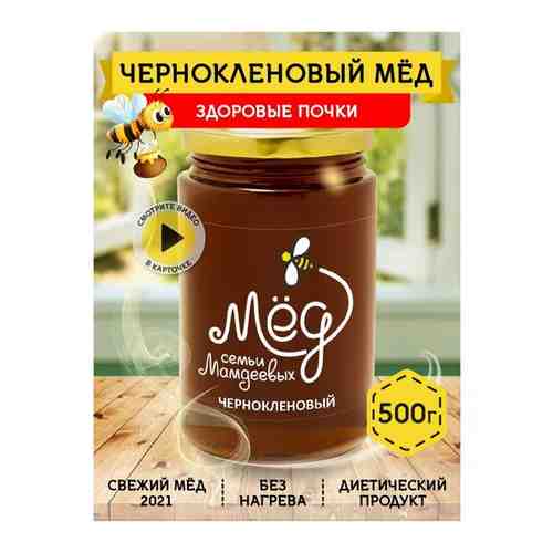 Башкирский чернокленовый мед, 500 г арт. 101471479792