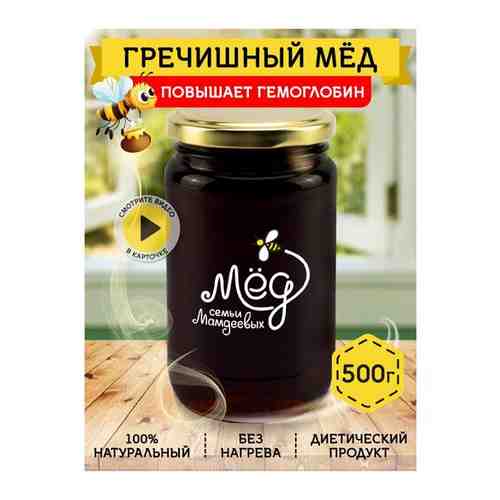 Башкирский гречишный мед, 500 г арт. 101319418002