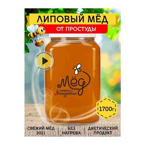 Башкирский липовый мед, 1700 г арт. 101474307651