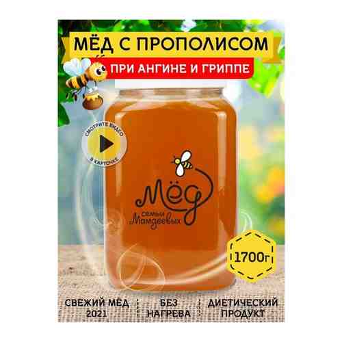 Башкирский мед с прополисом, 1700 г арт. 101439863689