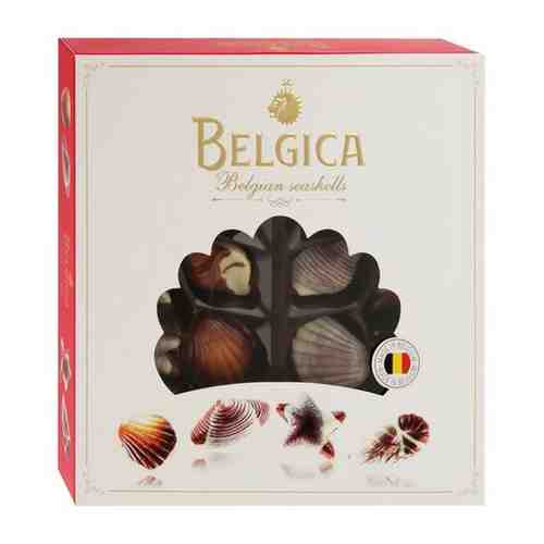 BELGICA шоколадные конфеты с начинкой пралине “Seashells”, 250г арт. 101552040846