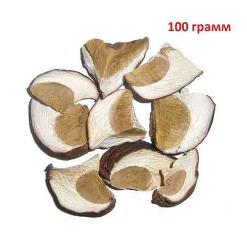 Белые сушенные грибы, 100 грамм арт. 101604617643