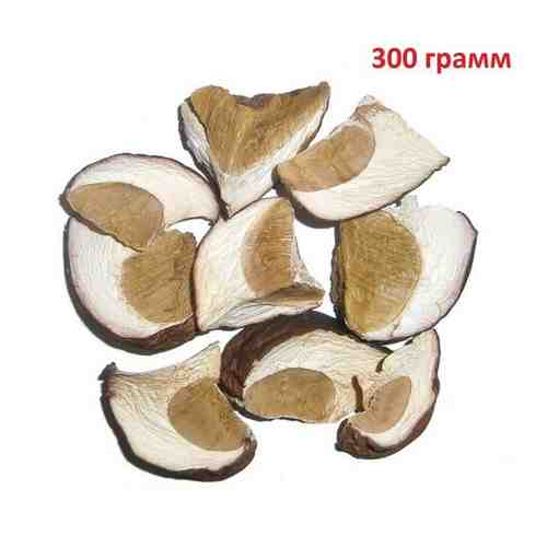 Белые сушенные грибы, 300 грамм арт. 101604749854