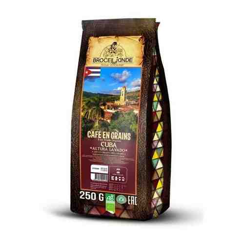 Broceliande Кофе в зернах Broceliande Cuba Altura Lavado , 250 гр арт. 101400956562