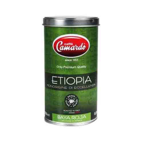 Camardo Молотый кофе Camardo Ethiopia, 250 г арт. 101539146728