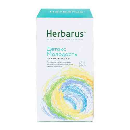 Чай Herbarus Детокс Молодость травяной 24 пакетика, 1289704 арт. 438980146