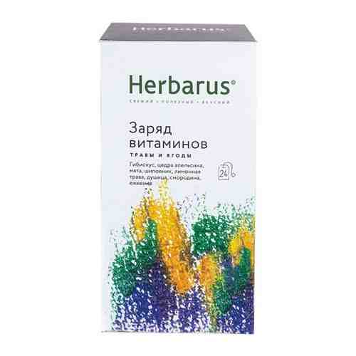 Чай Herbarus Заряд витаминов травяной 24 пакетика, 1289703 арт. 438981519
