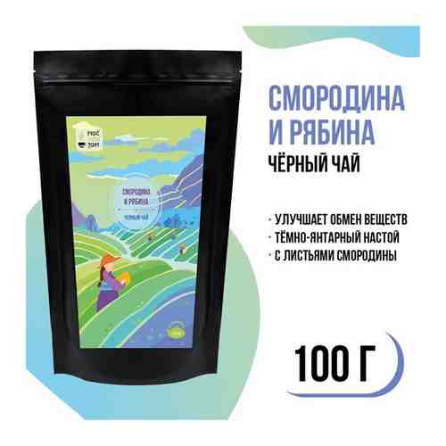 Черный чай Смородина и Рябина в пакете 100гр арт. 101614450404