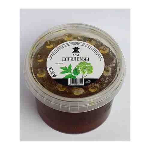 Дягилевый мёд 1 кг/ дудниковый мед/ натуральный мед/ Добрый пасечник арт. 101457297593