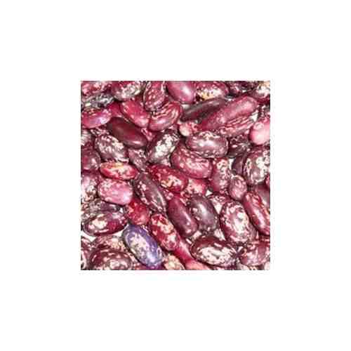 Фасоль красная Ласточка,Узбекистан ,1 кг (можно проращивать микрозелень) арт. 101548970624