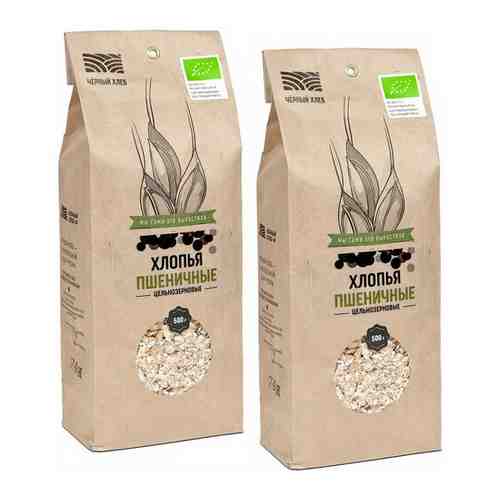 Хлопья пшеничные Чёрный хлеб цельнозерновые органические, 2 пакета по 500 г арт. 101400882499