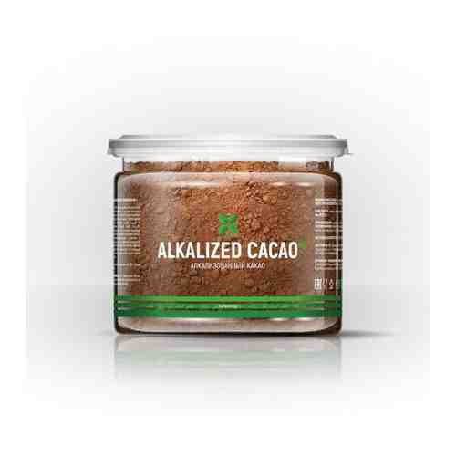 Какао алкализованный (CACAO ALKALIZED) арт. 101308945108