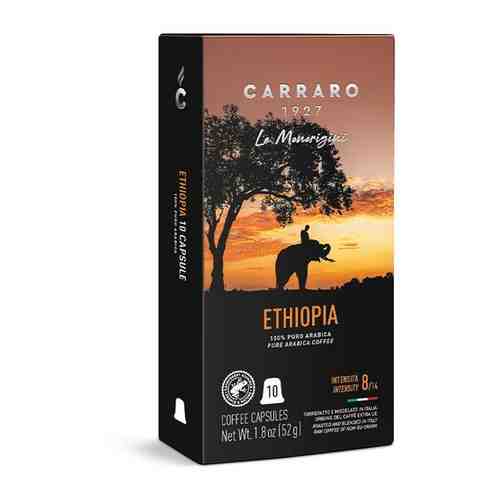 Кофе молотый в капсулах Carraro ETHIOPIA 52 г (система Nespresso) арт. 101545799682