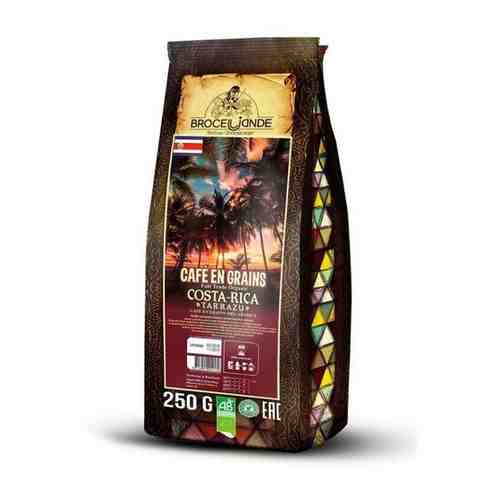 Кофе в зернах Broceliande Costa-Rica 250 г арт. 101400958530