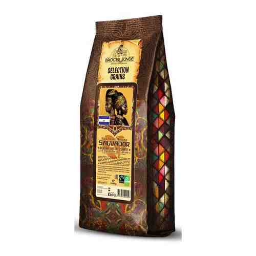 Кофе в зернах Brocelliande Salvador Buena Vista, 1 кг арт. 503980098