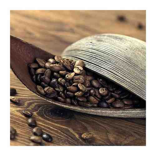 Кофе в зернах Никарагуа coffee Nicaragua 100 гр арт. 101571075972