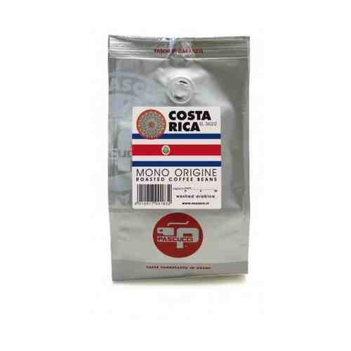Кофе в зернах Pascucci Costa Rica, 250 г (Паскукки) арт. 100526171972