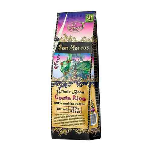 Кофе в зёрнах средней обжарки, 250 гр. Арабика 100% / Speciality Coffee, San Marcos арт. 101595863824
