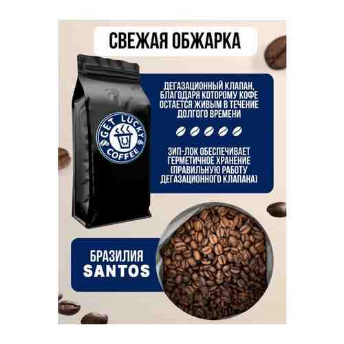 Кофе в зернах свежеобжаренный 1кг 100% арабика Бразилия Сантос SANTOS zip-lock арт. 101694832819