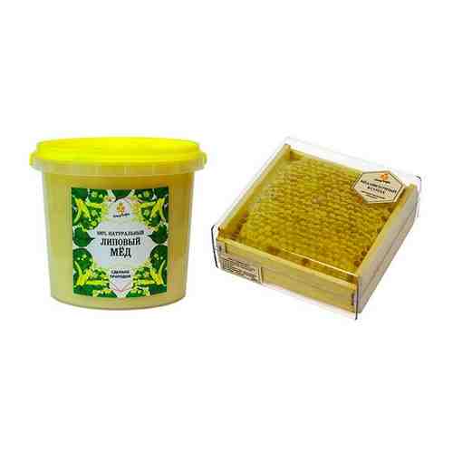 Комплект натурального меда: липовый мед (1400 грамм) и сотовый мед (350 грамм) арт. 101694735001