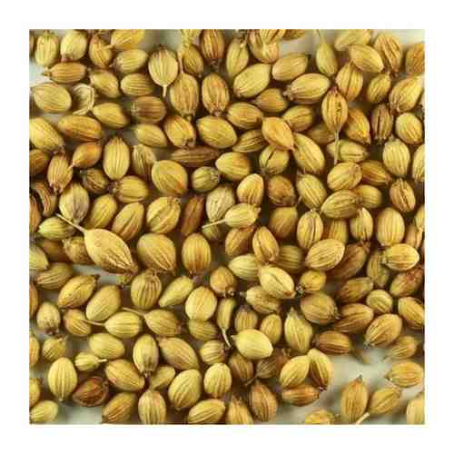 Кориандр семена Coriander seeds Наносри (Индия) 100 гр арт. 101571316208