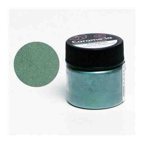 Краситель сухой перламутровый Caramella Темно-зеленый, 5 г 5350617 арт. 101447543530