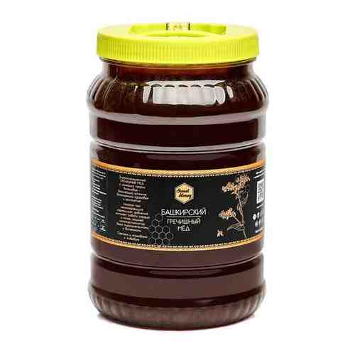 Мед натуральный Гречишный для иммунитета, пп еда арт. 101730758260