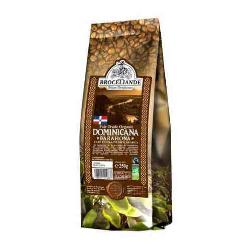 Молотый кофе Brocelliande Dominicana, 250 гр. арт. 608399139