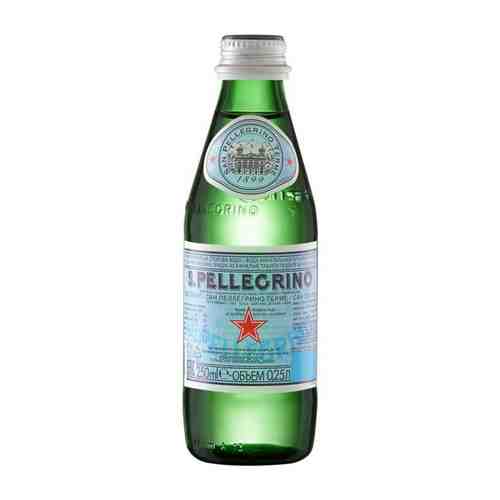 San Pellegrino 0,25 л минеральная газированная вода арт. 157247205