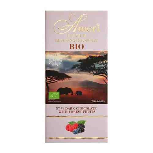 Шоколад Ameri BIO горький шоколад 57 % какао с лесными ягодами 100 г арт. 101055876868