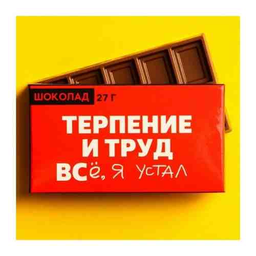 Шоколад молочный «Терпение и труд», 27 г. арт. 101462935969