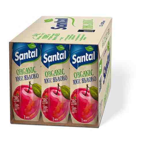 Сок SANTAL Organic Яблочный Prisma 1л арт. 101456898093