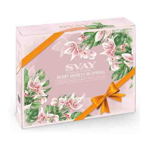 Svay Чай Berry Variety in Spring, 48 пирамидок, Svay арт. 101188939194