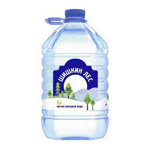 Вода питьевая Шишкин лес негазированная 5 л 2 шт/уп арт. 100820806759