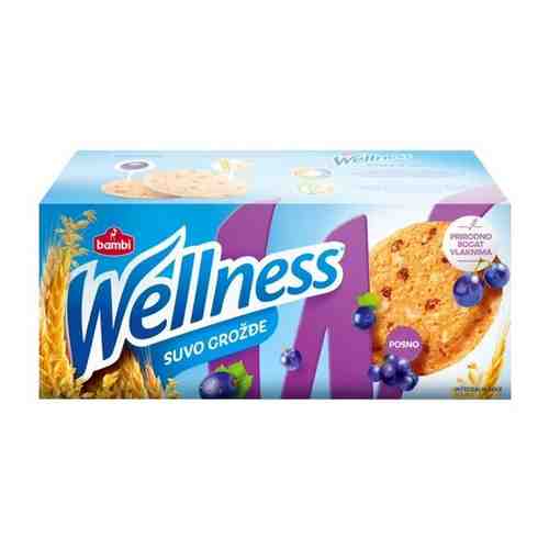 Wellness печенье цельнозерновое с изюмом и витаминами 210г арт. 933509366