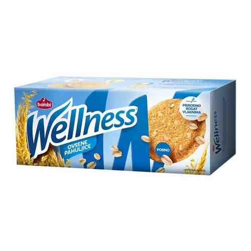 Wellness печенье цельнозерновое с овсяными хлопьями и витаминами 210г арт. 933511243