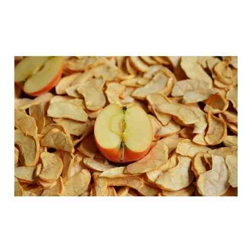 Яблоко сухое узбекское 3 кг свежий продукт арт. 101737668448
