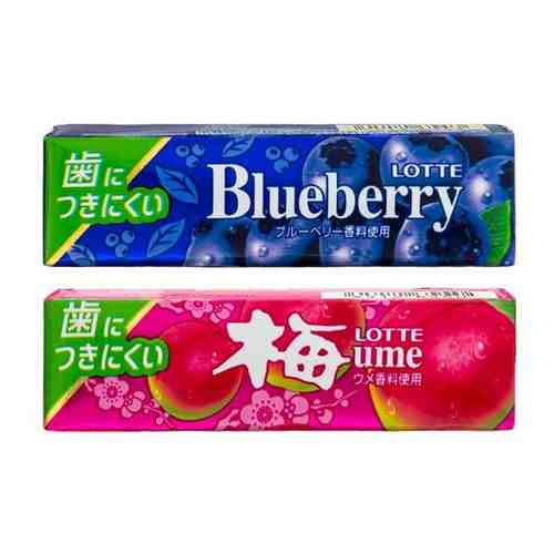 Жвачка Lotte Ume японская слива + Blueberry Gum голубика (2 шт.) арт. 101335775875