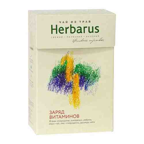 Чай HERBARUS Заряд витаминов, 40 г арт. 438967195