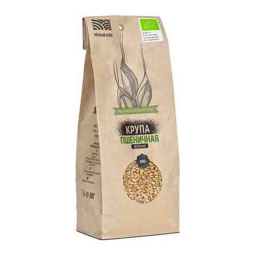 Крупа пшеничная Чёрный хлеб цельная органическая, пакет 0,5 кг арт. 590366430